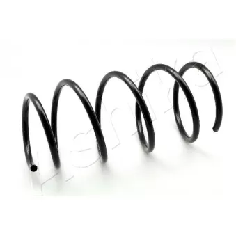 Ressort de suspension ASHIKA ZCA1023G