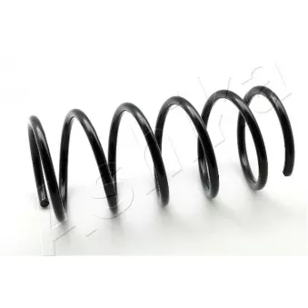 Ressort de suspension ASHIKA ZCA1064H