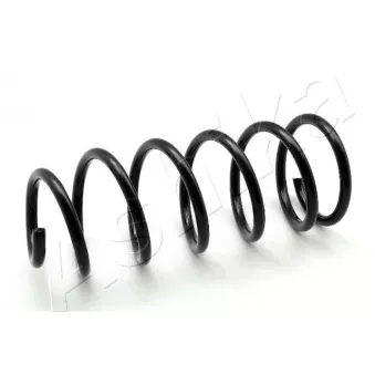 Ressort de suspension ASHIKA ZCA1076C