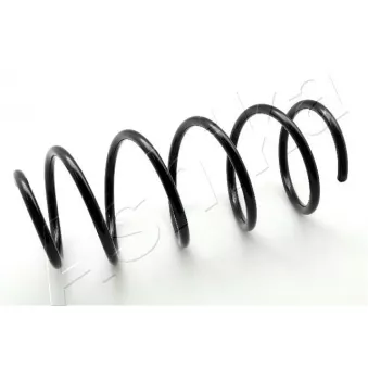 Ressort de suspension ASHIKA ZCA1138G