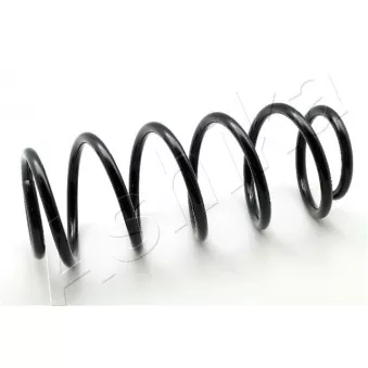 Ressort de suspension ASHIKA ZCA1184H