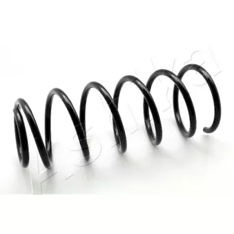 Ressort de suspension ASHIKA ZCA1262G