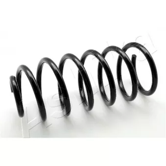 Ressort de suspension ASHIKA ZCA1267G