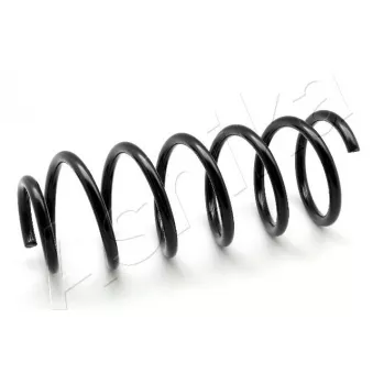 Ressort de suspension ASHIKA ZCA1386C