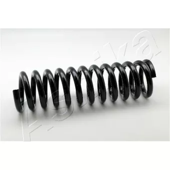 Ressort de suspension ASHIKA ZCA1443D