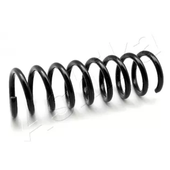 Ressort de suspension ASHIKA ZCA1468A