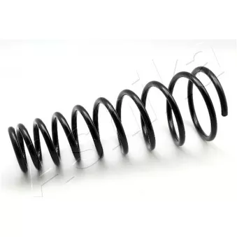 Ressort de suspension ASHIKA ZCA1488I