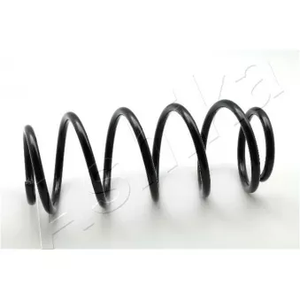Ressort de suspension ASHIKA ZCA1507H