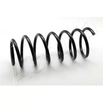Ressort de suspension ASHIKA ZCA1591G