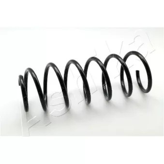 Ressort de suspension ASHIKA ZCA1642G
