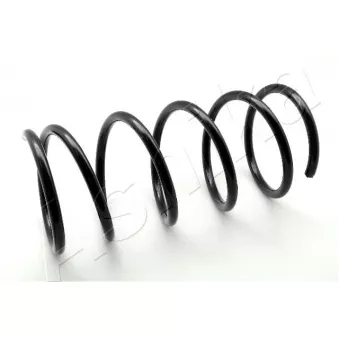 Ressort de suspension ASHIKA ZCA1765A