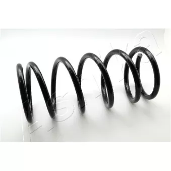 Ressort de suspension ASHIKA ZCA1803A