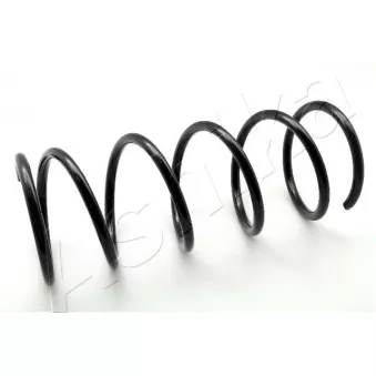 Ressort de suspension ASHIKA ZCA1829A