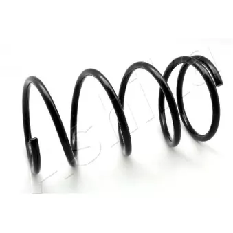 Ressort de suspension ASHIKA ZCA1889A