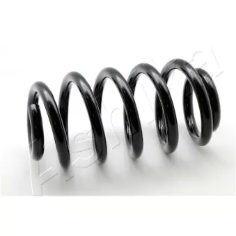 Ressort de suspension ASHIKA ZCA2076H