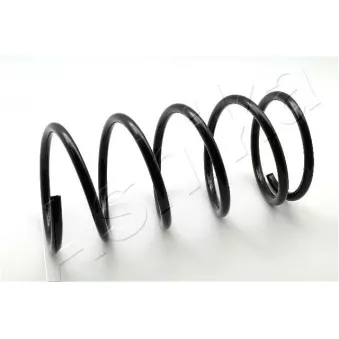 Ressort de suspension ASHIKA ZCA2449D