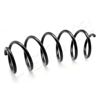 Ressort de suspension ASHIKA ZCA2879H