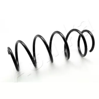 Ressort de suspension ASHIKA ZCA2954H
