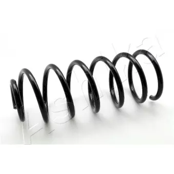 Ressort de suspension ASHIKA ZCA2968C