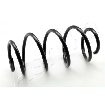 Ressort de suspension ASHIKA ZCA2969H