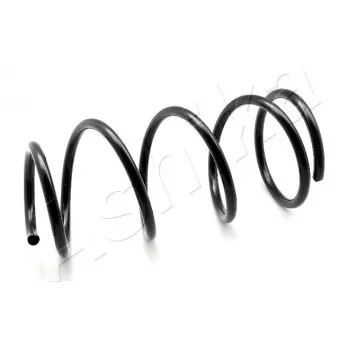 Ressort de suspension ASHIKA ZCA2976A