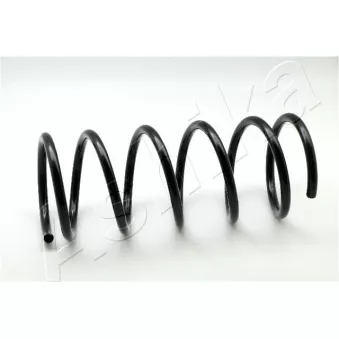 Ressort de suspension ASHIKA ZCA2979A