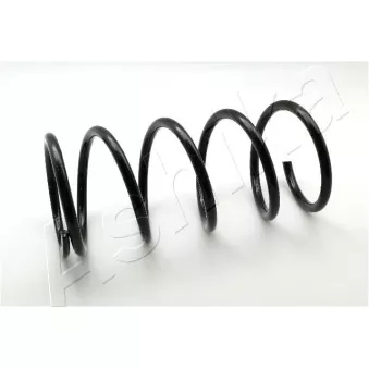 Ressort de suspension ASHIKA ZCA2987A