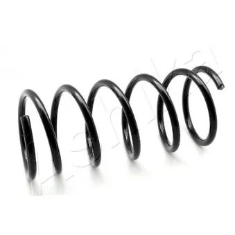 Ressort de suspension ASHIKA ZCA3008A