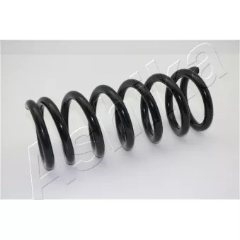 Ressort de suspension ASHIKA ZCA3094A