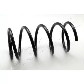 Ressort de suspension ASHIKA ZCA3119A