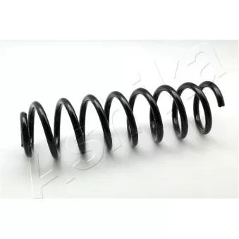 Ressort de suspension ASHIKA ZCA3161G