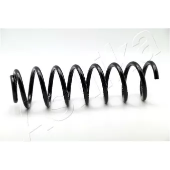 Ressort de suspension ASHIKA ZCA3163G