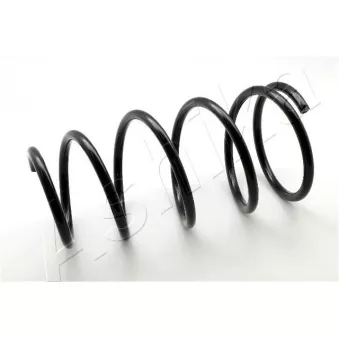 Ressort de suspension ASHIKA ZCA3170G