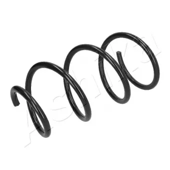 Ressort de suspension ASHIKA ZCA3195G