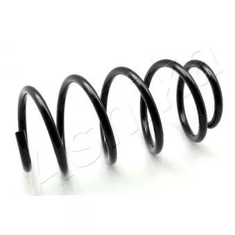 Ressort de suspension ASHIKA ZCA3360A