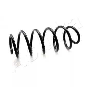 Ressort de suspension ASHIKA ZCA3381A