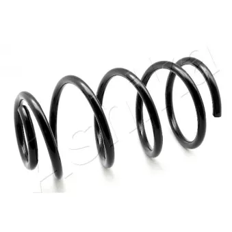 Ressort de suspension ASHIKA ZCA3446A