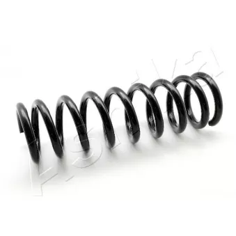 Ressort de suspension ASHIKA ZCA3946A