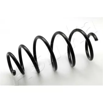Ressort de suspension ASHIKA ZCA3976A
