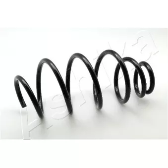 Ressort de suspension ASHIKA ZCA3978A