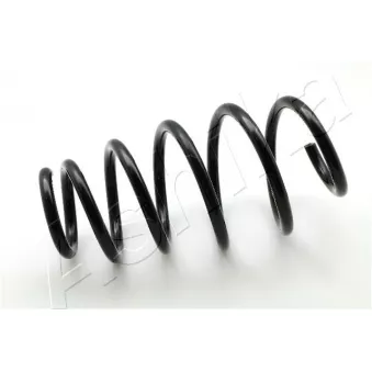 Ressort de suspension ASHIKA ZCA3979A