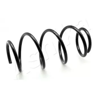 Ressort de suspension ASHIKA ZCA3989A