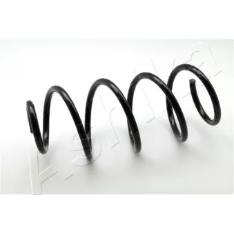 Ressort de suspension ASHIKA ZCA3991A