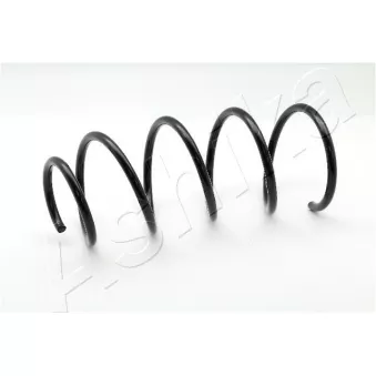 Ressort de suspension ASHIKA ZCA4001A