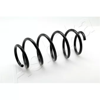 Ressort de suspension ASHIKA ZCA4021A