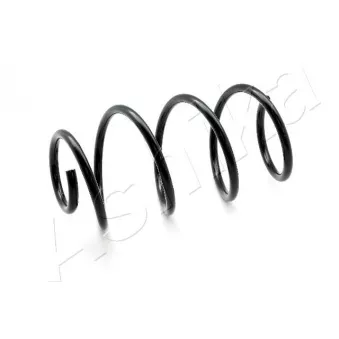 Ressort de suspension ASHIKA ZCA4024A