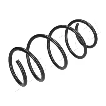 Ressort de suspension ASHIKA ZCA4131A
