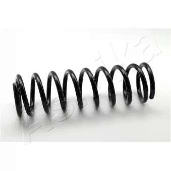 Ressort de suspension ASHIKA ZCA5021A