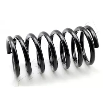 Ressort de suspension ASHIKA ZCA5044A