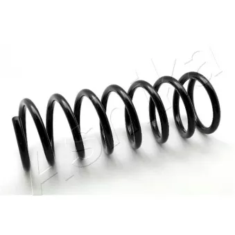 Ressort de suspension ASHIKA ZCA5065A